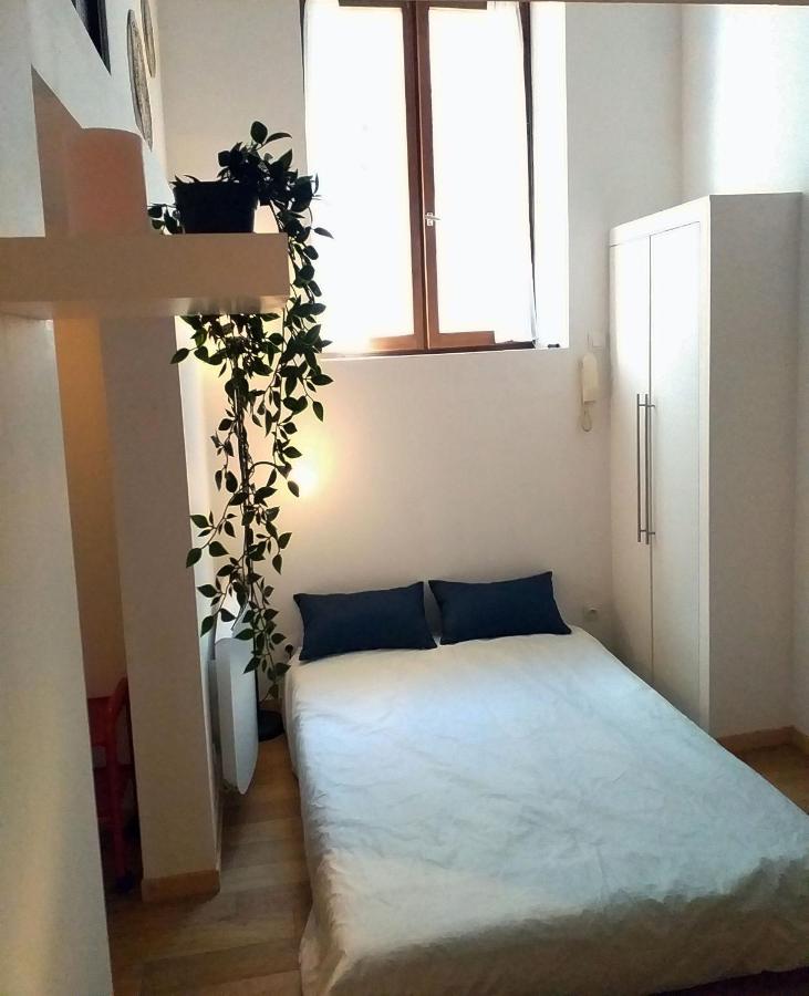 格勒诺布尔Le Paisible - Gare - Duplex - Garage Prive - Netflix公寓 外观 照片