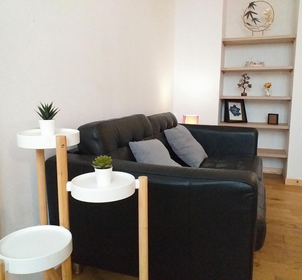 格勒诺布尔Le Paisible - Gare - Duplex - Garage Prive - Netflix公寓 外观 照片