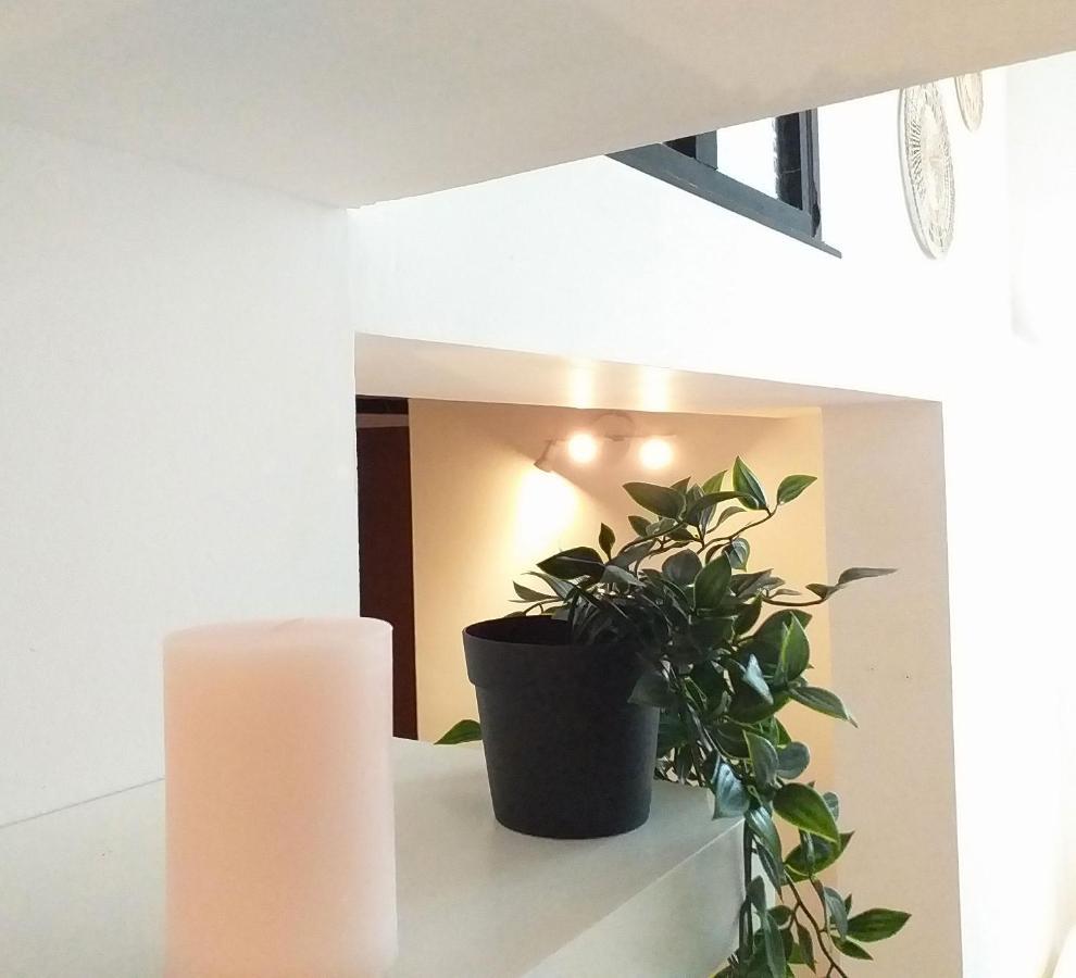 格勒诺布尔Le Paisible - Gare - Duplex - Garage Prive - Netflix公寓 外观 照片